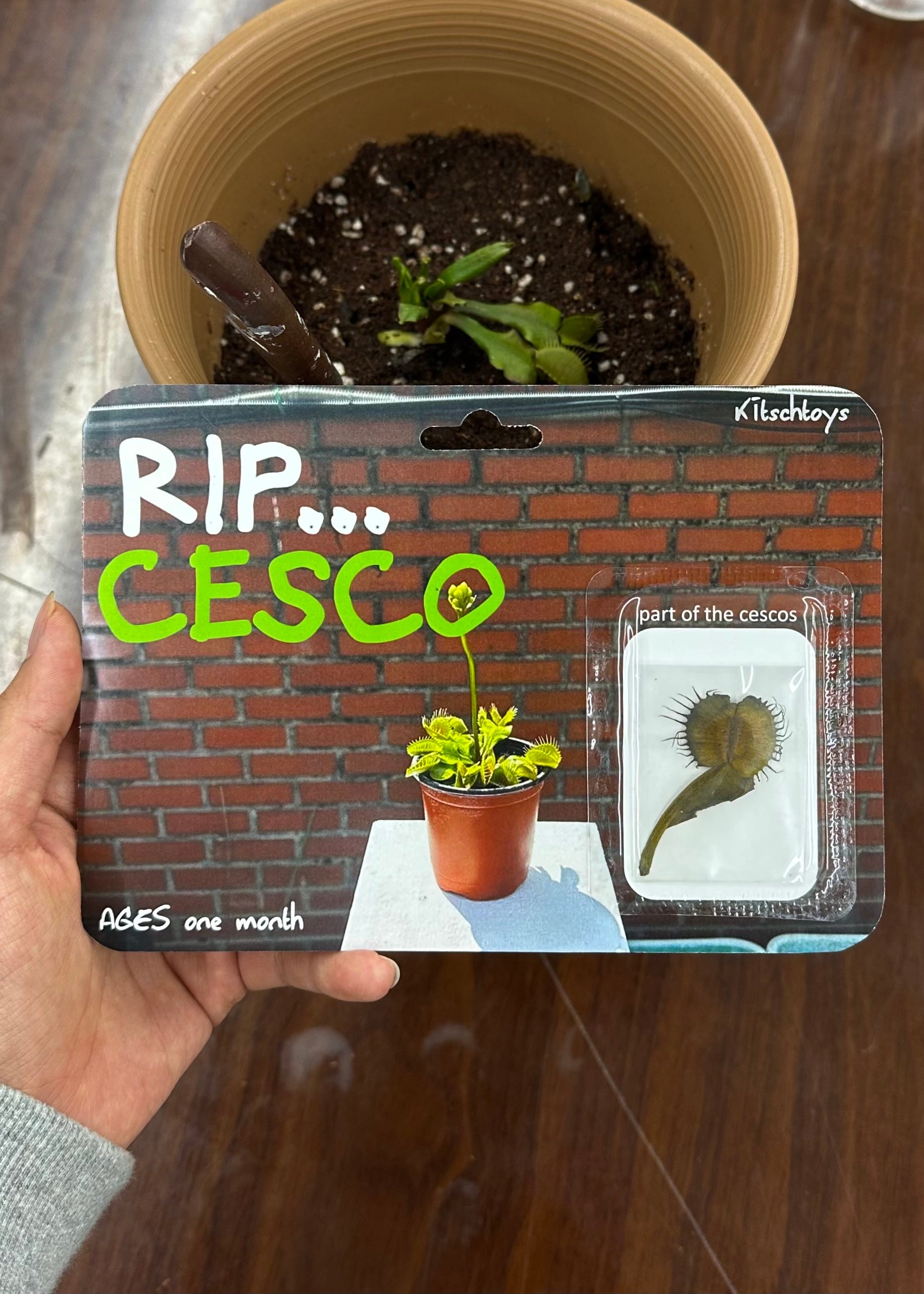 RIP... CESCO